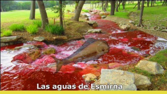 Las aguas de Esmirna